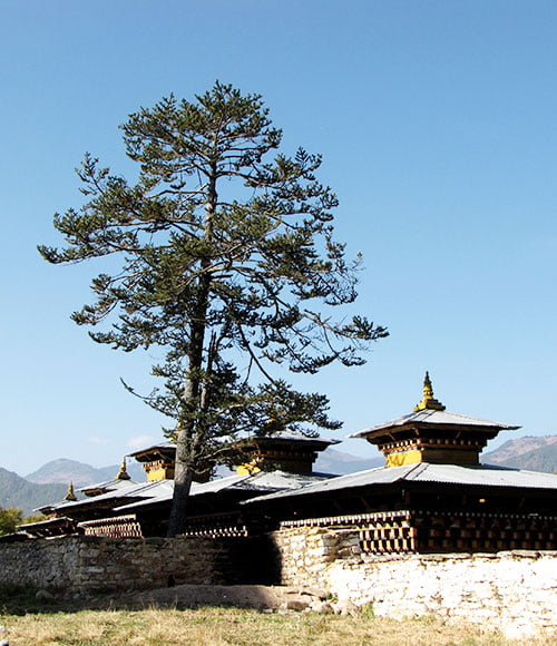 Palace of King of Bhutan